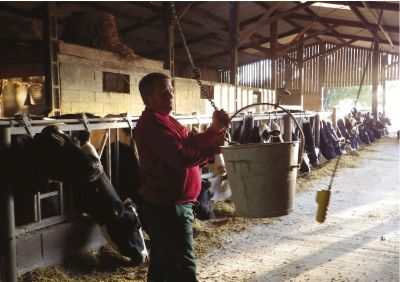 Transporteur/distributeur de farine