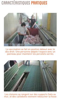 Fosse de vaccination