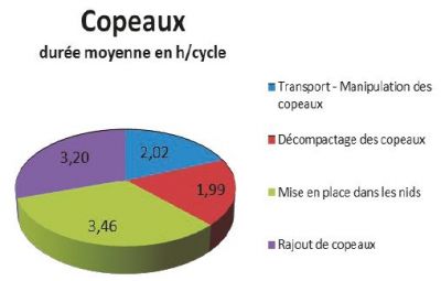 Mise en place des copeaux