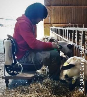 Travailler à hauteur de cornadis avec le skate-sheep