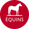 Equin