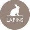 Lapin