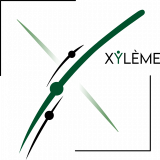 Xylème Solutions